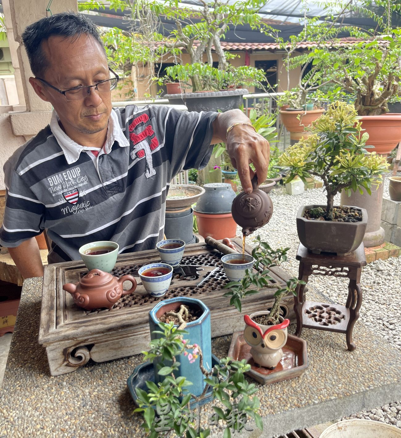 (古城第2主文)【带你去找爱】:盆栽的爱