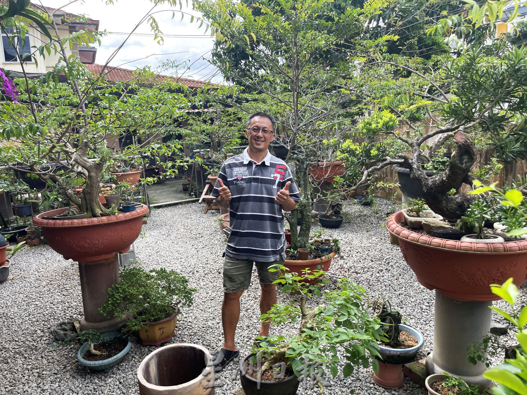 (古城第2主文)【带你去找爱】:盆栽的爱