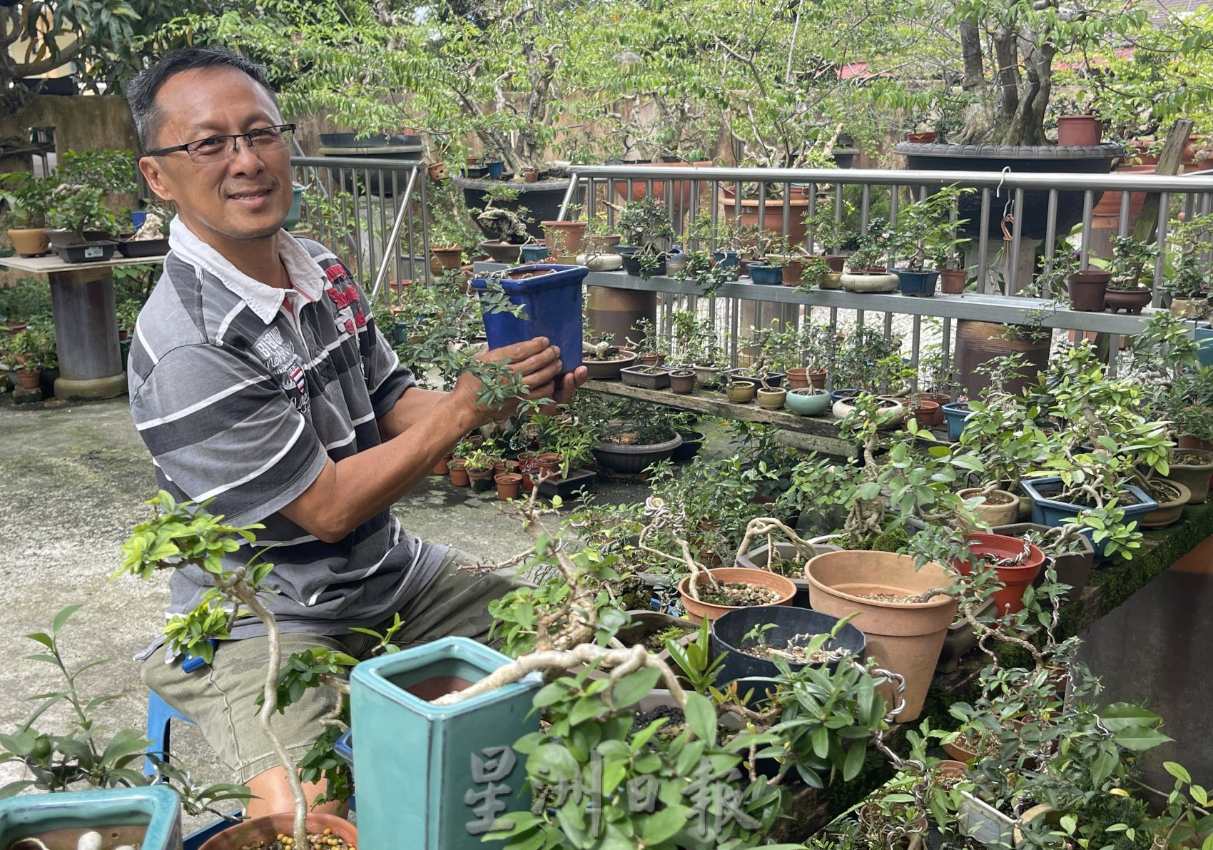 (古城第2主文)【带你去找爱】:盆栽的爱