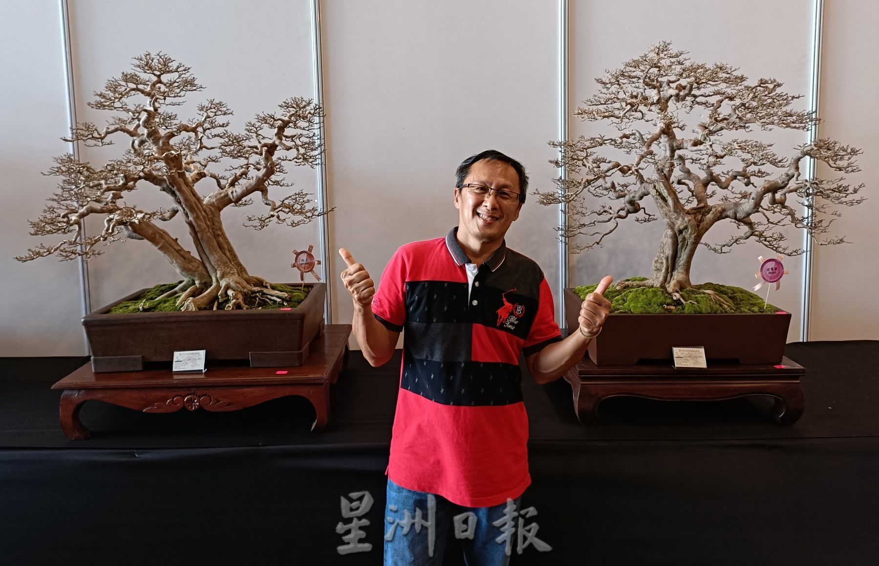 (古城第2主文)【带你去找爱】:盆栽的爱