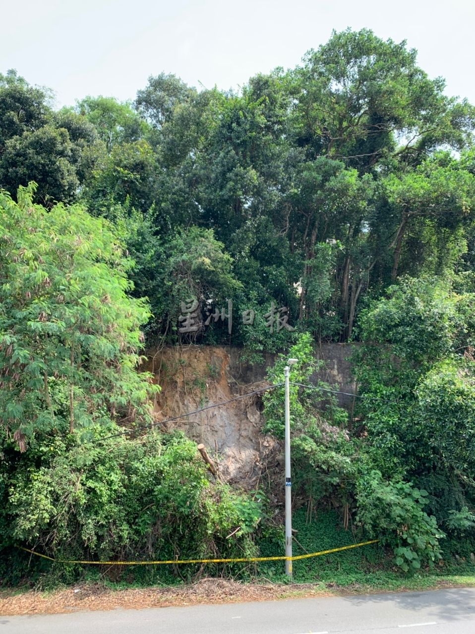 （古城第三版主文）圣淘沙花园对面斜坡泥土流失 树木连根拔起引安全隐忧