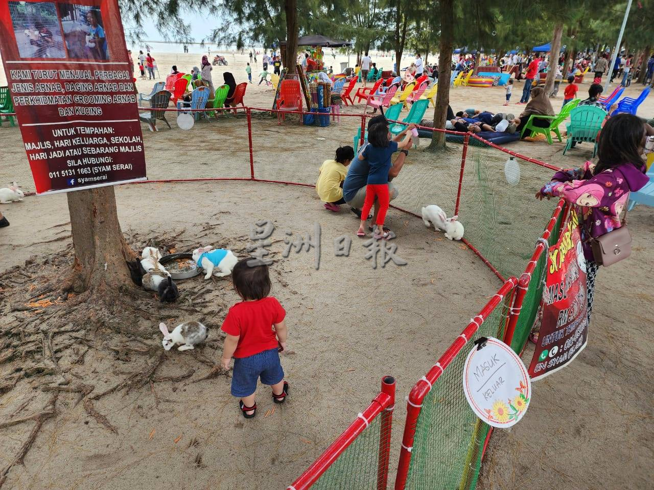 (古城第三版主文)新春假期大批游客到吉里望海边休闲