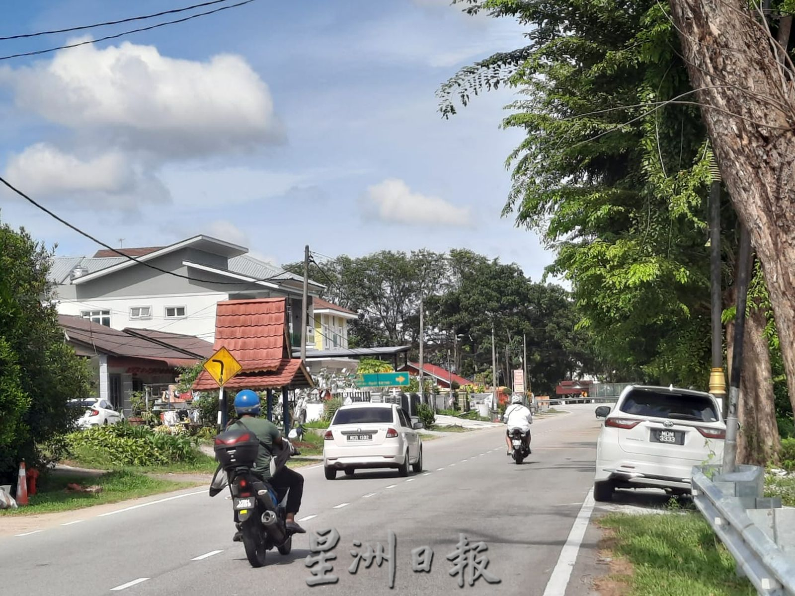 (古城第六版主文)路旁大树枯死,村民盼尽快处理
