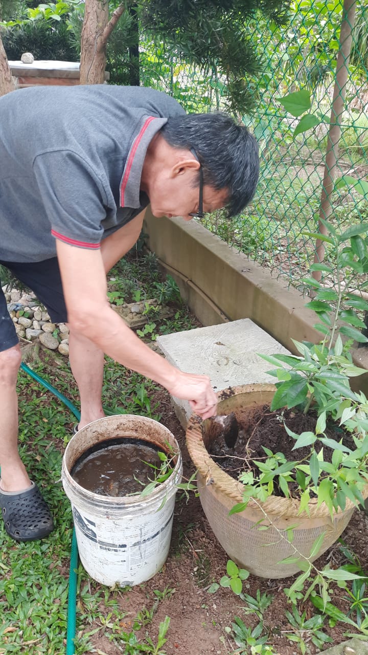 兔子粪便化身肥料，营养更好更安心