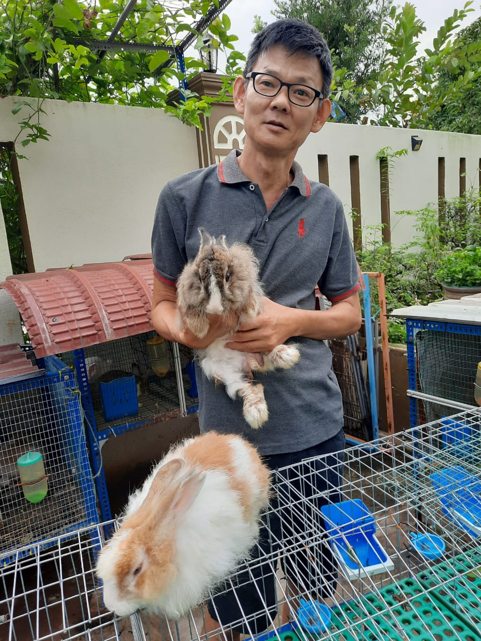 兔子粪便化身肥料,营养更好更安心