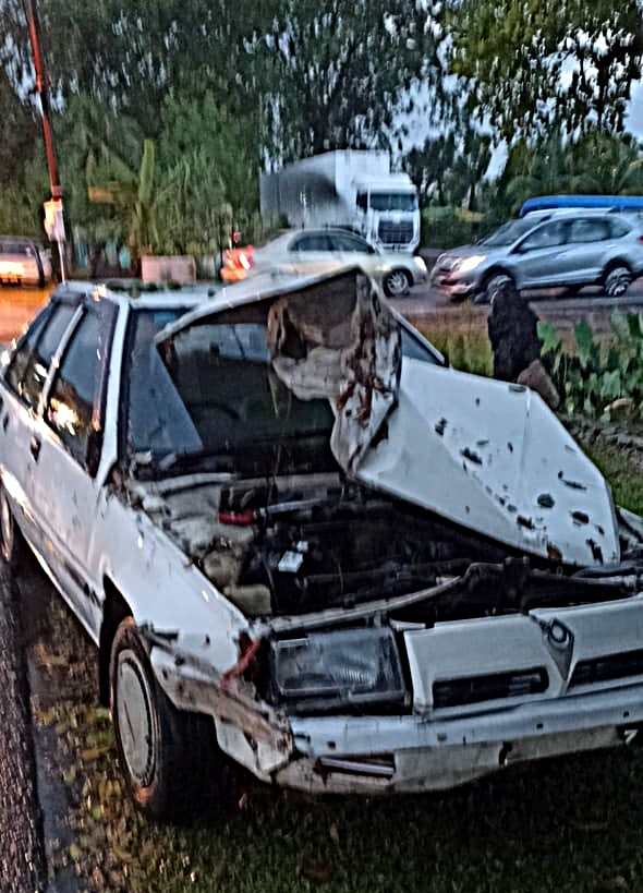 (大北马)一场暴风雨袭击一棵大树连根拔起砸中轿车所幸没有酿伤亡事件