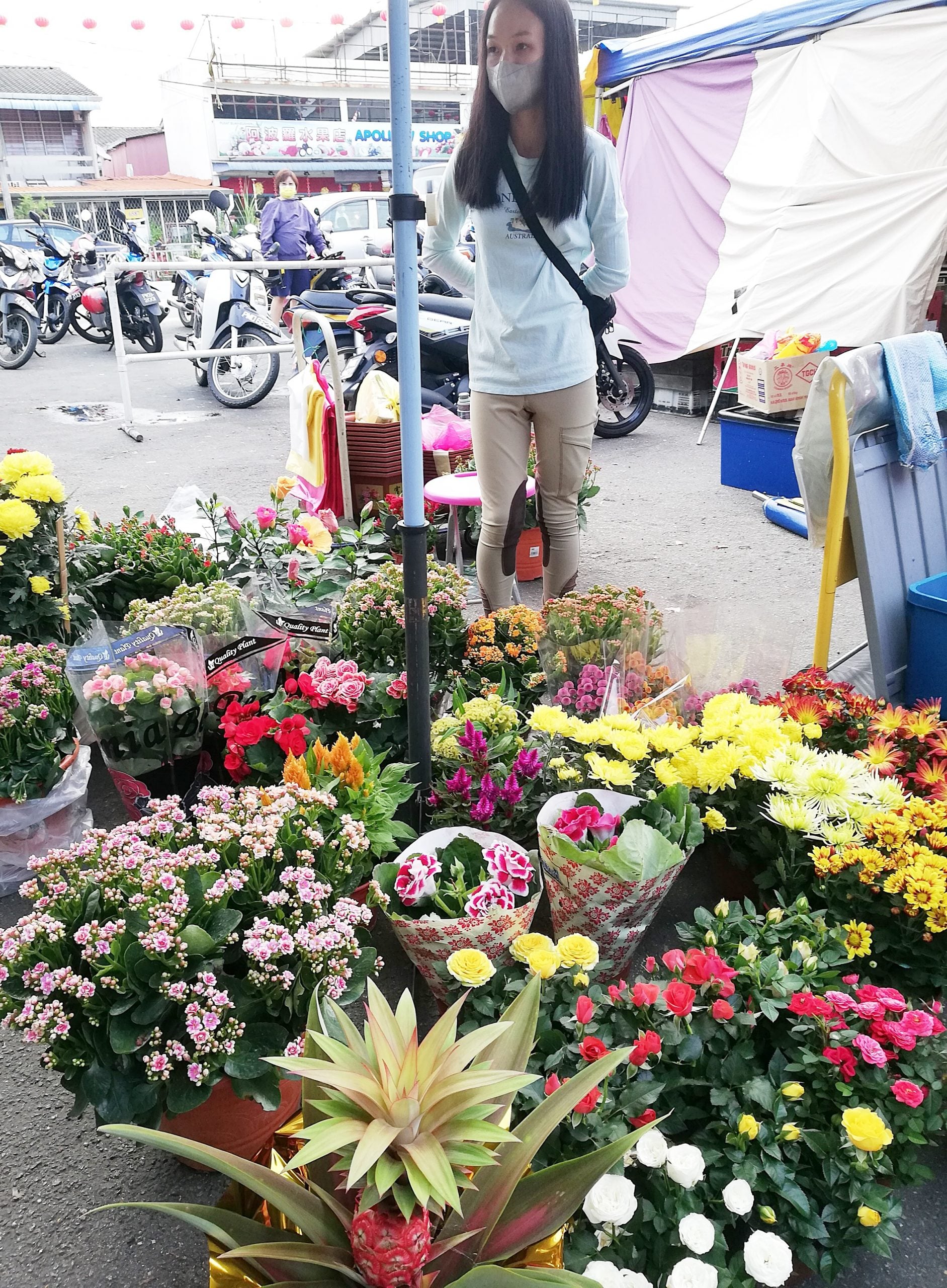 （大北马）北海区新年特稿新年期间，家家必备年糕及年饼，虽贵还是必须买来应节。