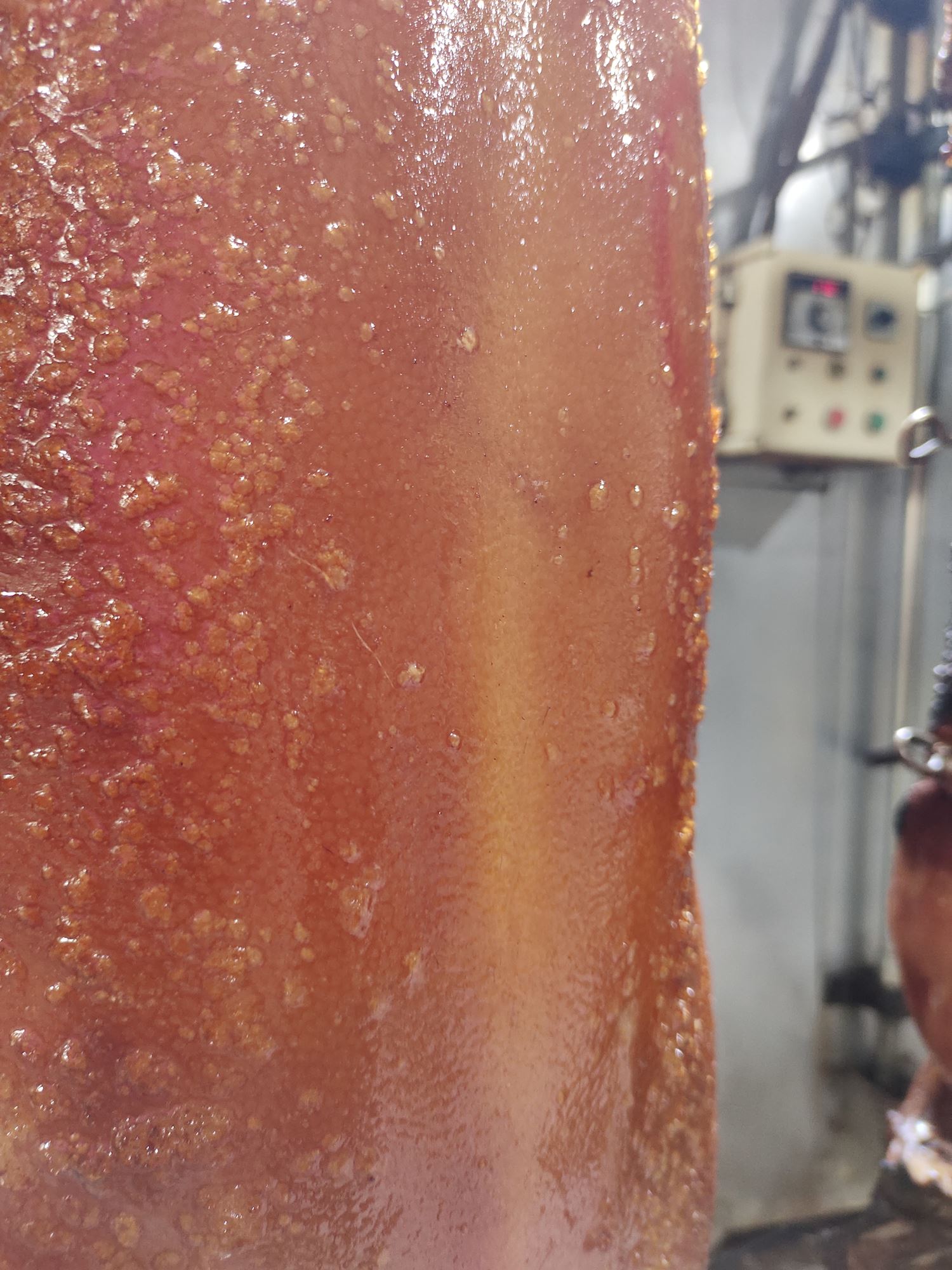 (大北马)新年特稿/虔诚拜神祭祖的心稳住农历新年及天公诞的金猪订单和销量