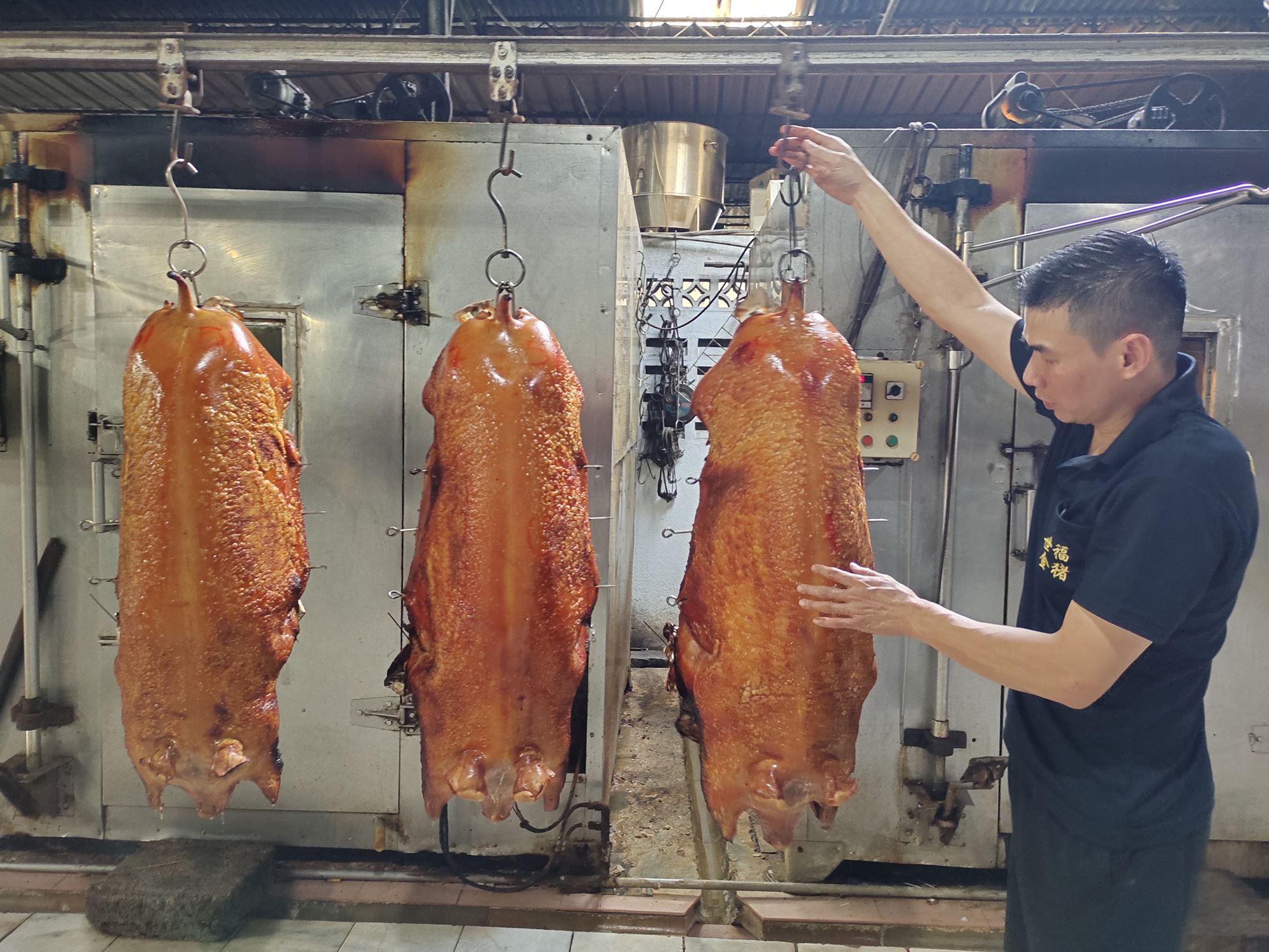 (大北马)新年特稿/虔诚拜神祭祖的心稳住农历新年及天公诞的金猪订单和销量