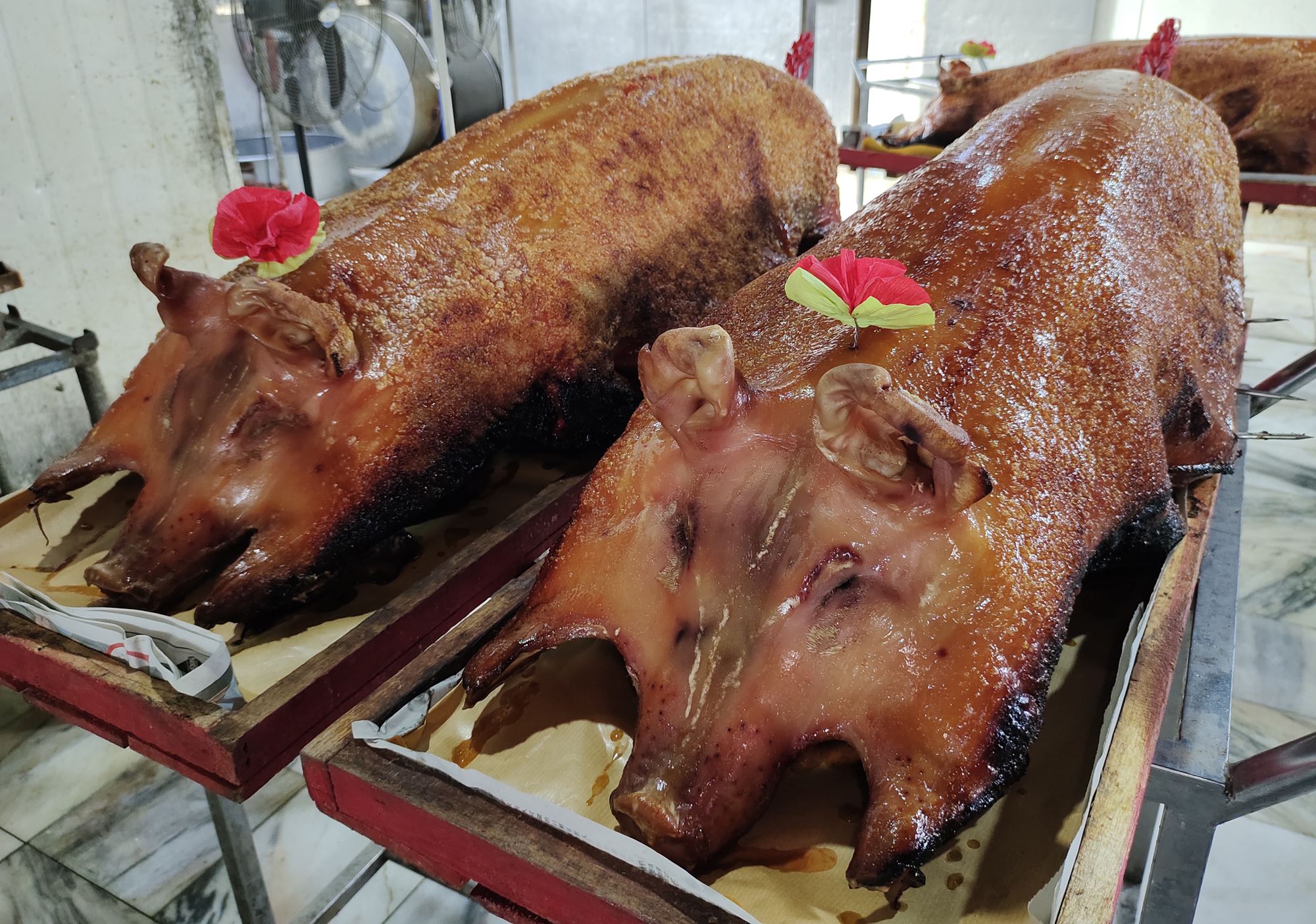 (大北马)新年特稿/虔诚拜神祭祖的心稳住农历新年及天公诞的金猪订单和销量