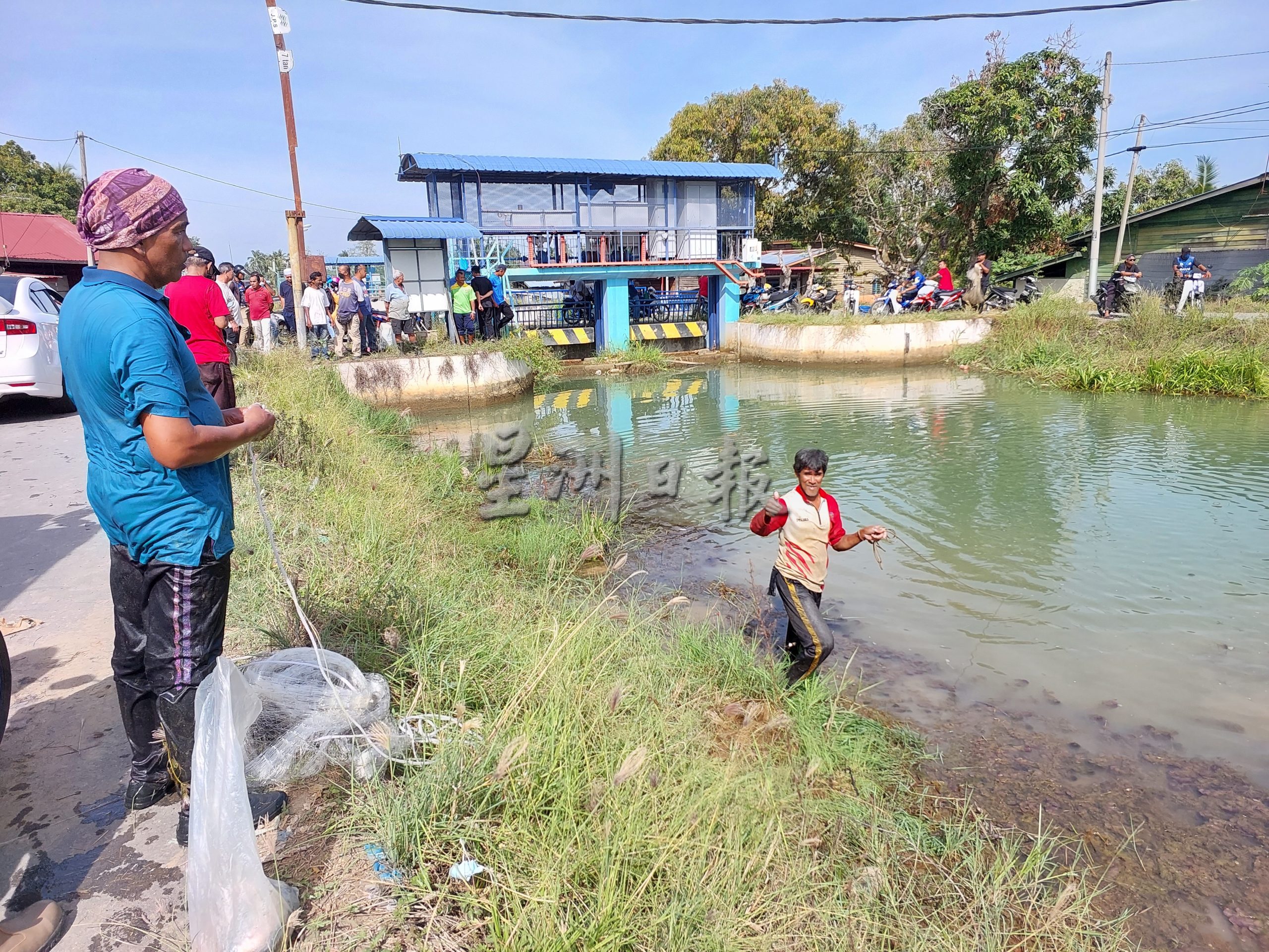 （大北马）新路小镇运河出现大松鱼 民众欣喜捕捉