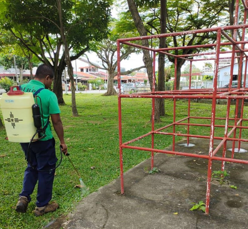 (大北马)日落洞锡马公园教早操,教练被火蚁咬后晕倒