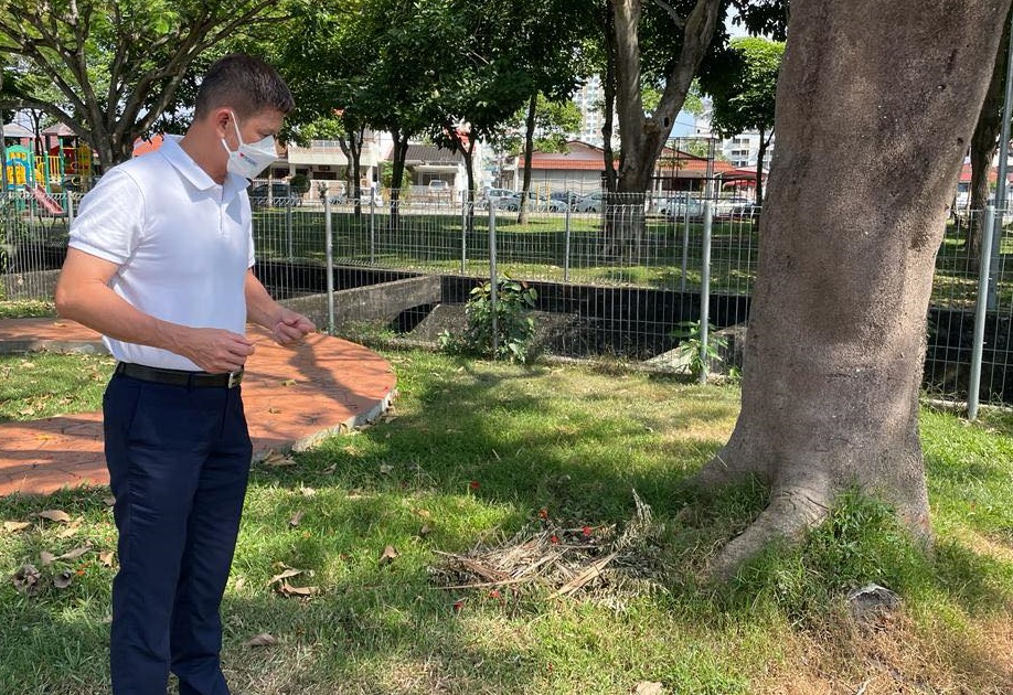 (大北马)日落洞锡马公园教早操,教练被火蚁咬后晕倒