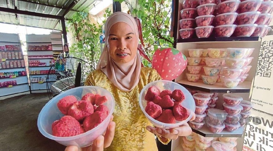 行管期间种草莓，如今做老板囖！