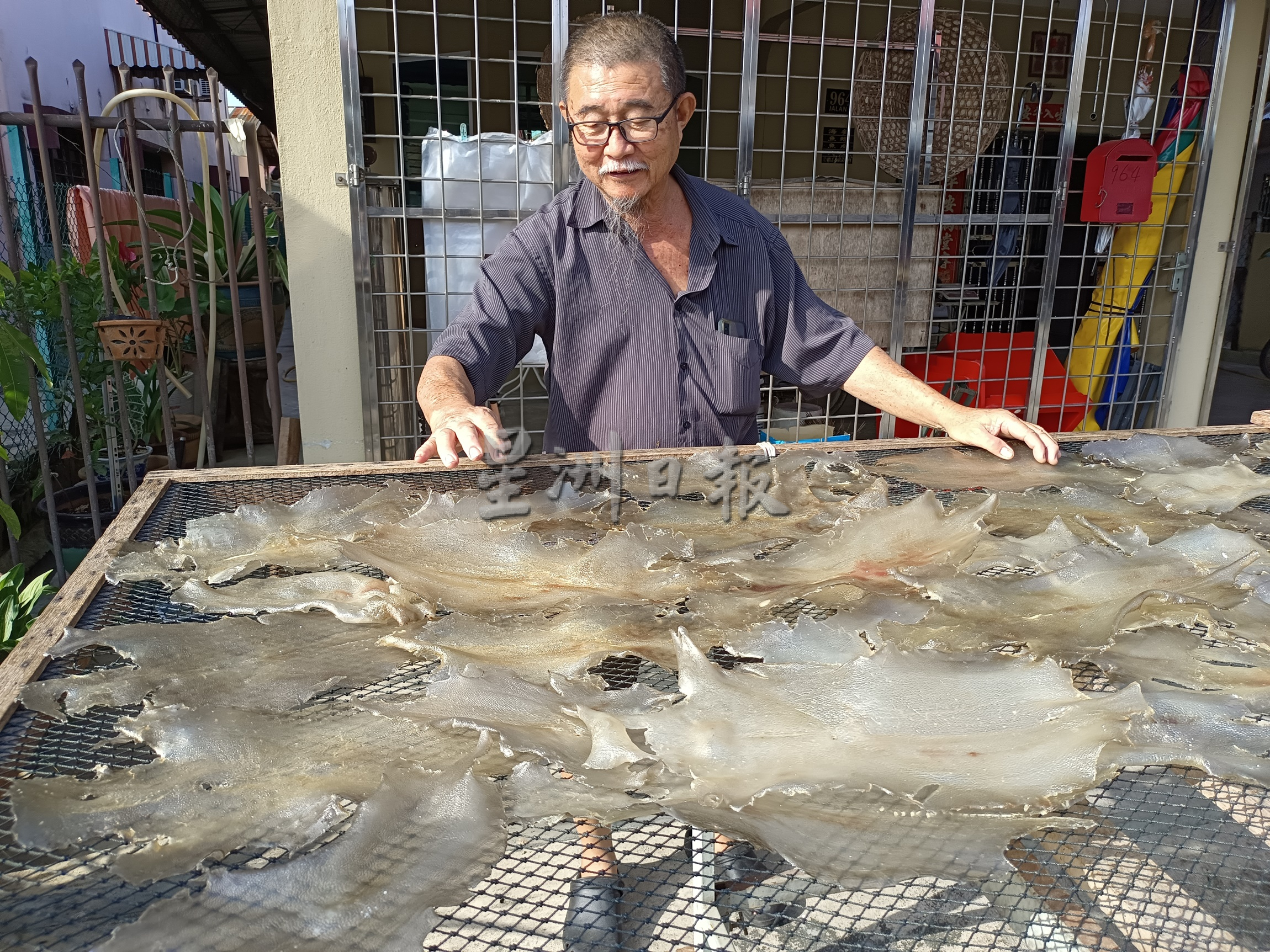 （大北马）鱼皮与鱼鳔口感近相似