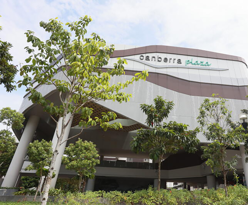 (已签发)柔:狮城二三事:三巴旺1元下注跨年多多,幸运儿独赢550万