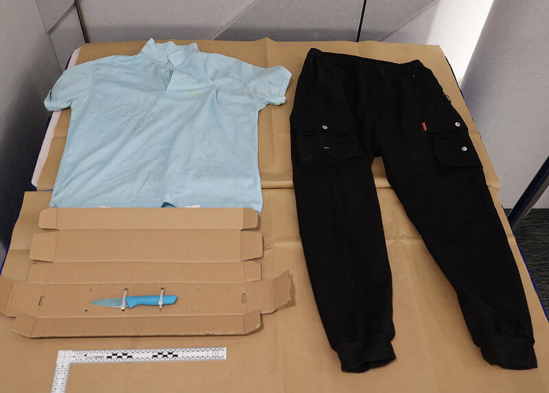 涉持刀挟清洁嫂 42岁男随机犯案被控