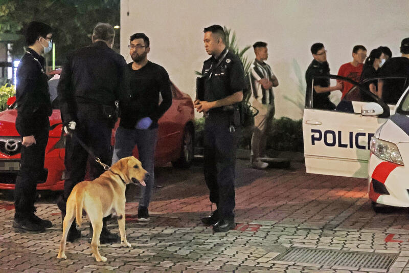 (已签发)柔:狮城二三事:淡滨尼组屋撒网铺气垫 执法者夜破门捕3涉毒男女