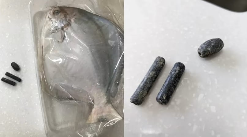 （已签发）狮城二三事：斗鲳鱼最常被藏铅块 鱼贩：进口鱼中每月都有几宗