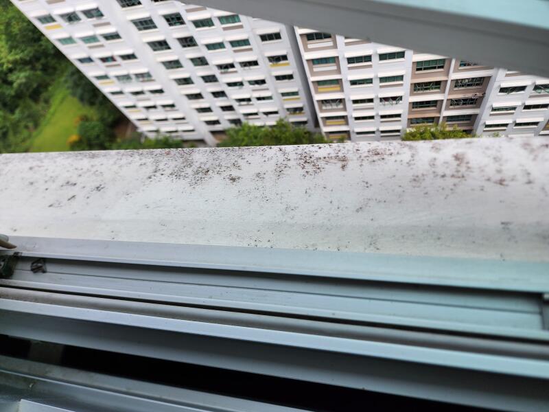 (已签发)盛港居民申诉:组屋甫落成5年 外墙已斑驳发霉