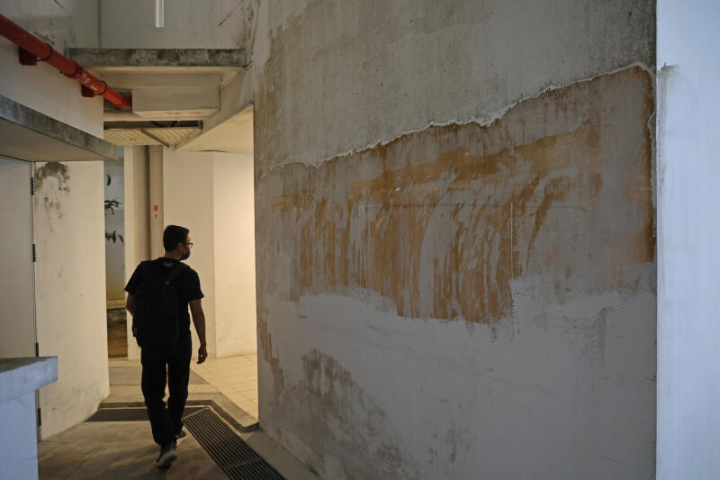 (已签发)盛港居民申诉:组屋甫落成5年 外墙已斑驳发霉