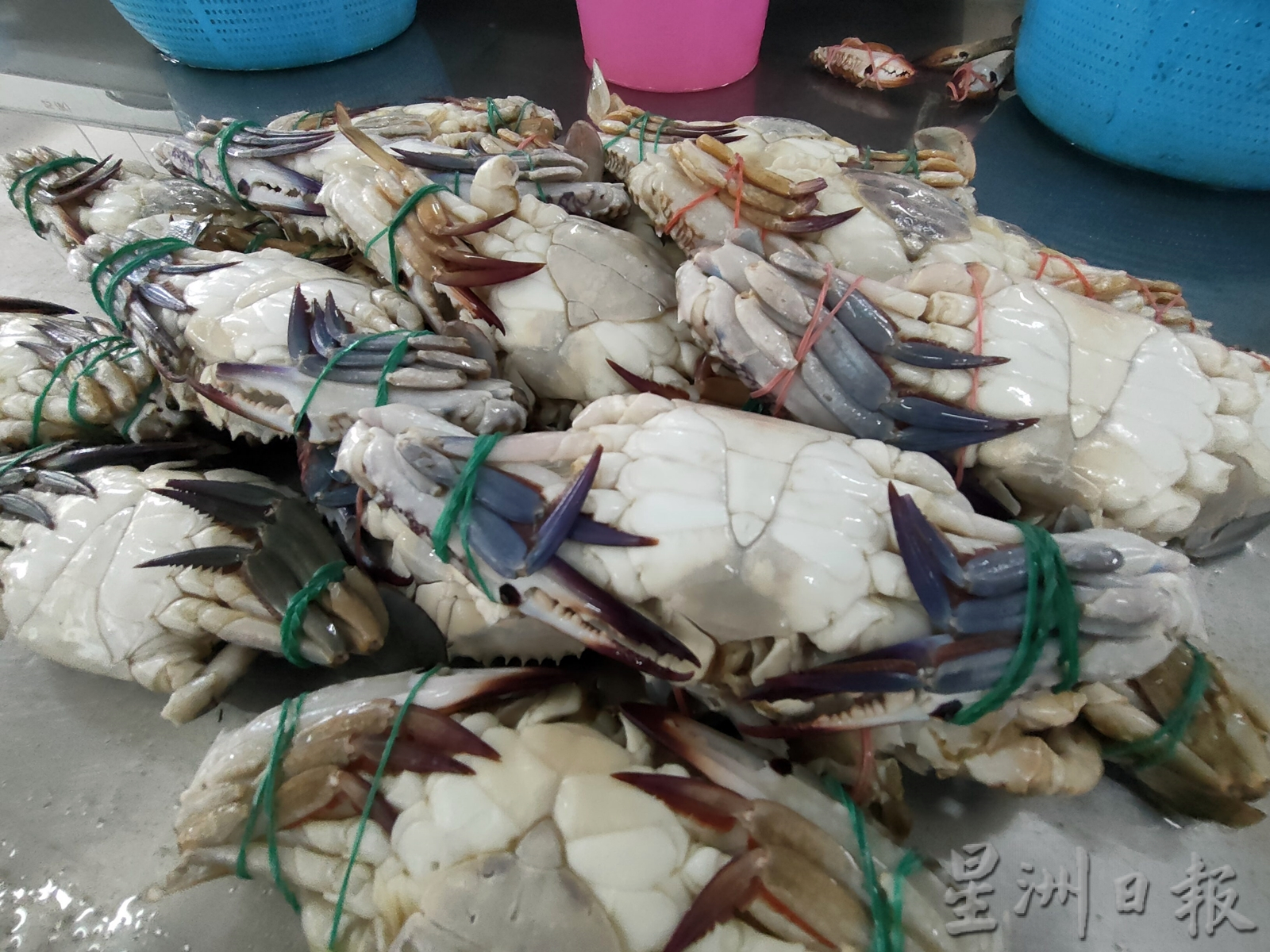 (新年稿)海鲜涨10%至20% 要买趁早