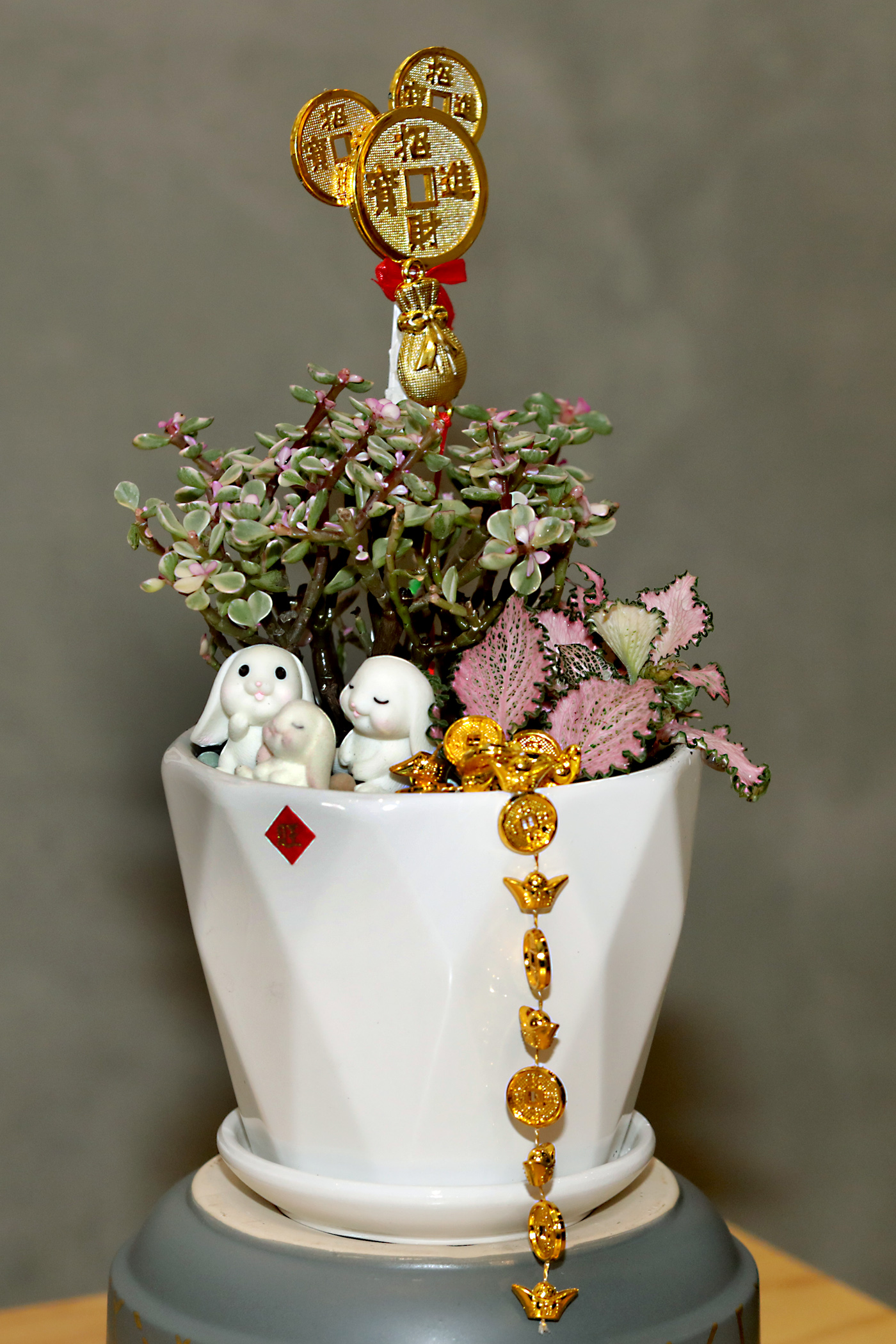 (设定年卅上网)夫妻档打造开运植物 李吉汉&心妮+许亮宇&陈俐杏招财镇宅