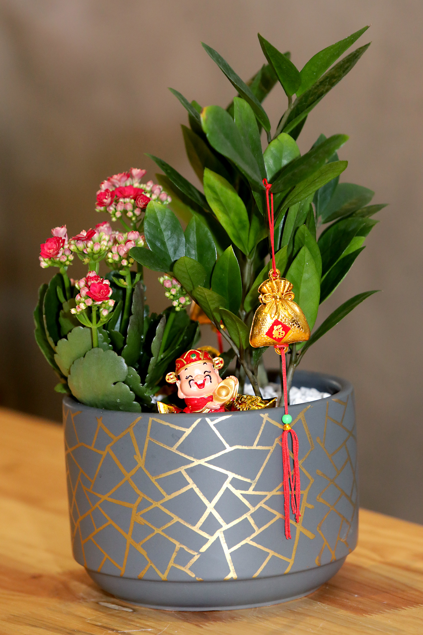 (设定年卅上网)夫妻档打造开运植物 李吉汉&心妮+许亮宇&陈俐杏招财镇宅