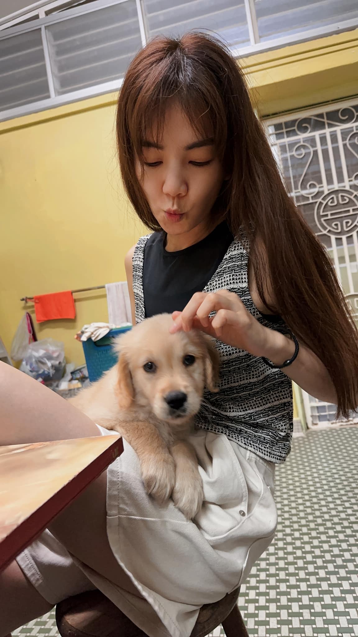 Ella大马台湾赶场过年 飞机高铁摩托车全用上