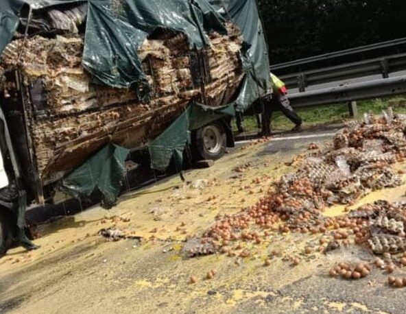 NS 林茂:载蛋罗里意外翻覆,鸡蛋倒地摔破染黄道路