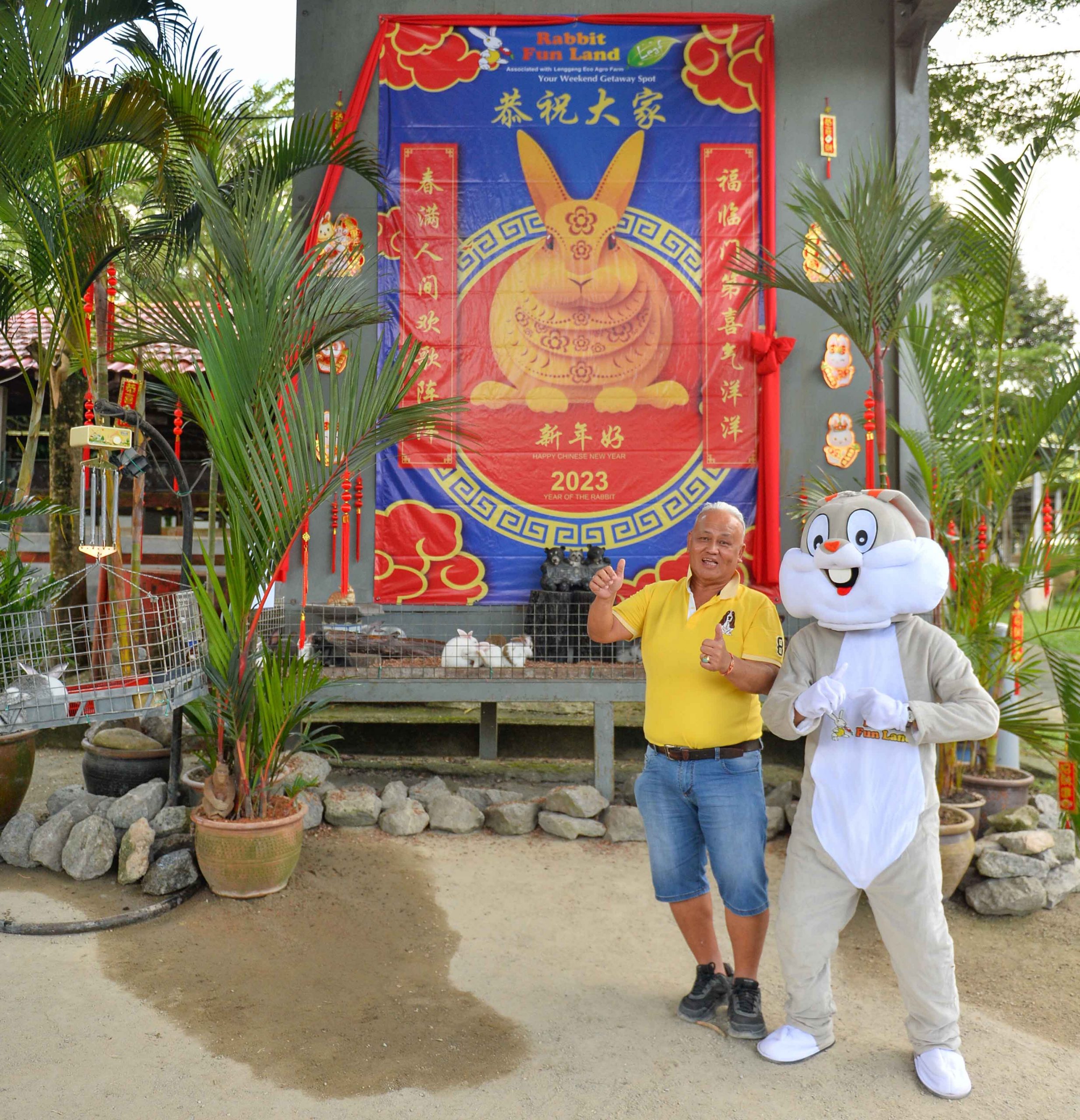 NS新年特稿：全马最大兔子农场，农历新年不打烊