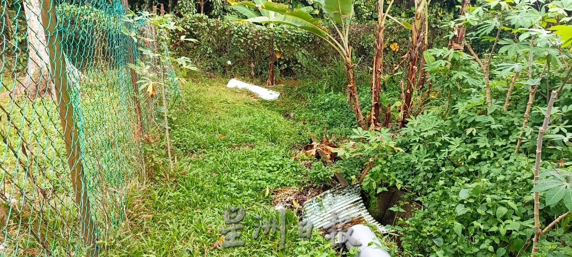 NS淡边/河岸冲蚀豆芽厂岌岌可危