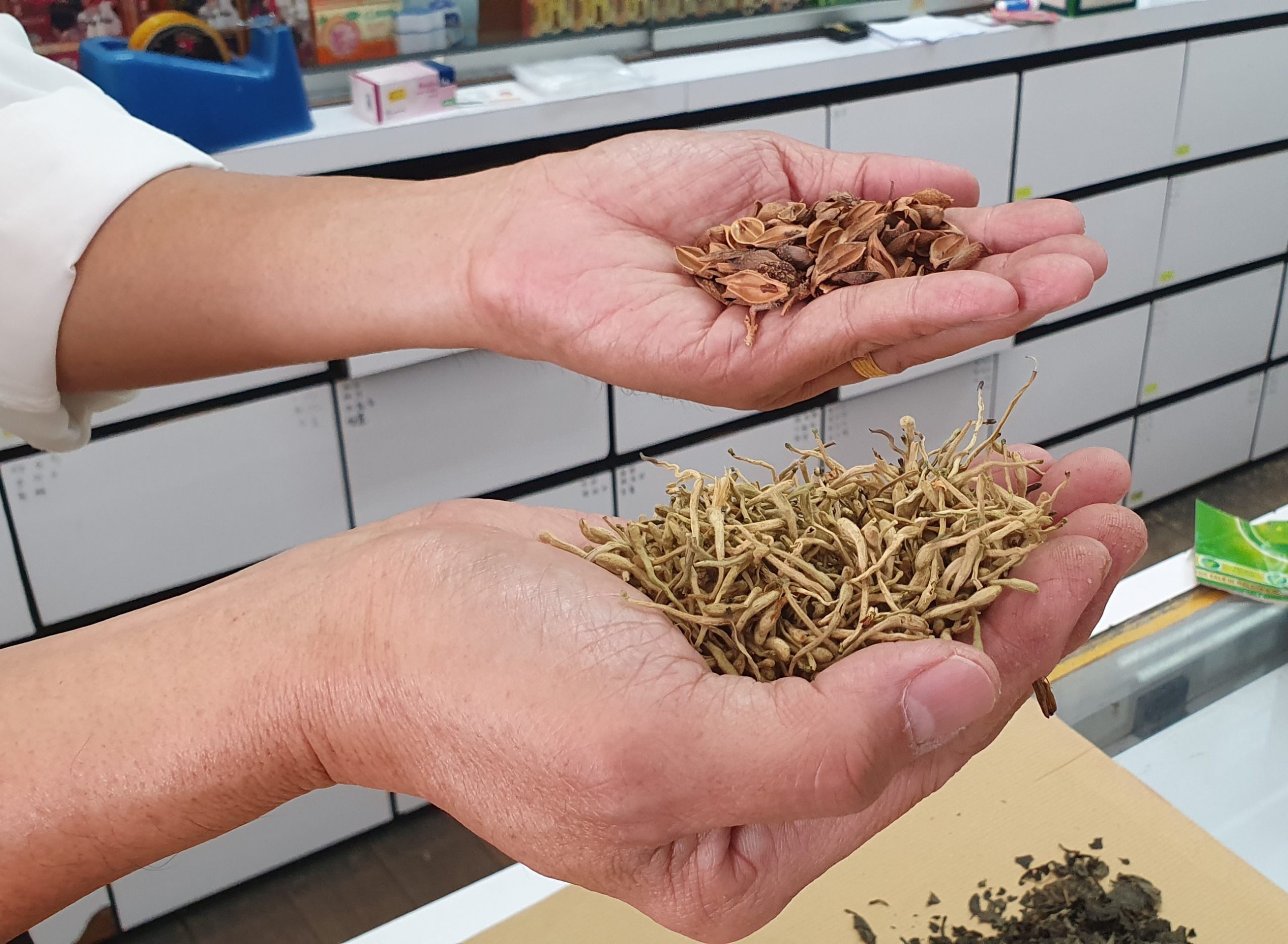 NS芙蓉/中国疫情紧张导致药物短缺，本地特定草药也受影响涨近30%