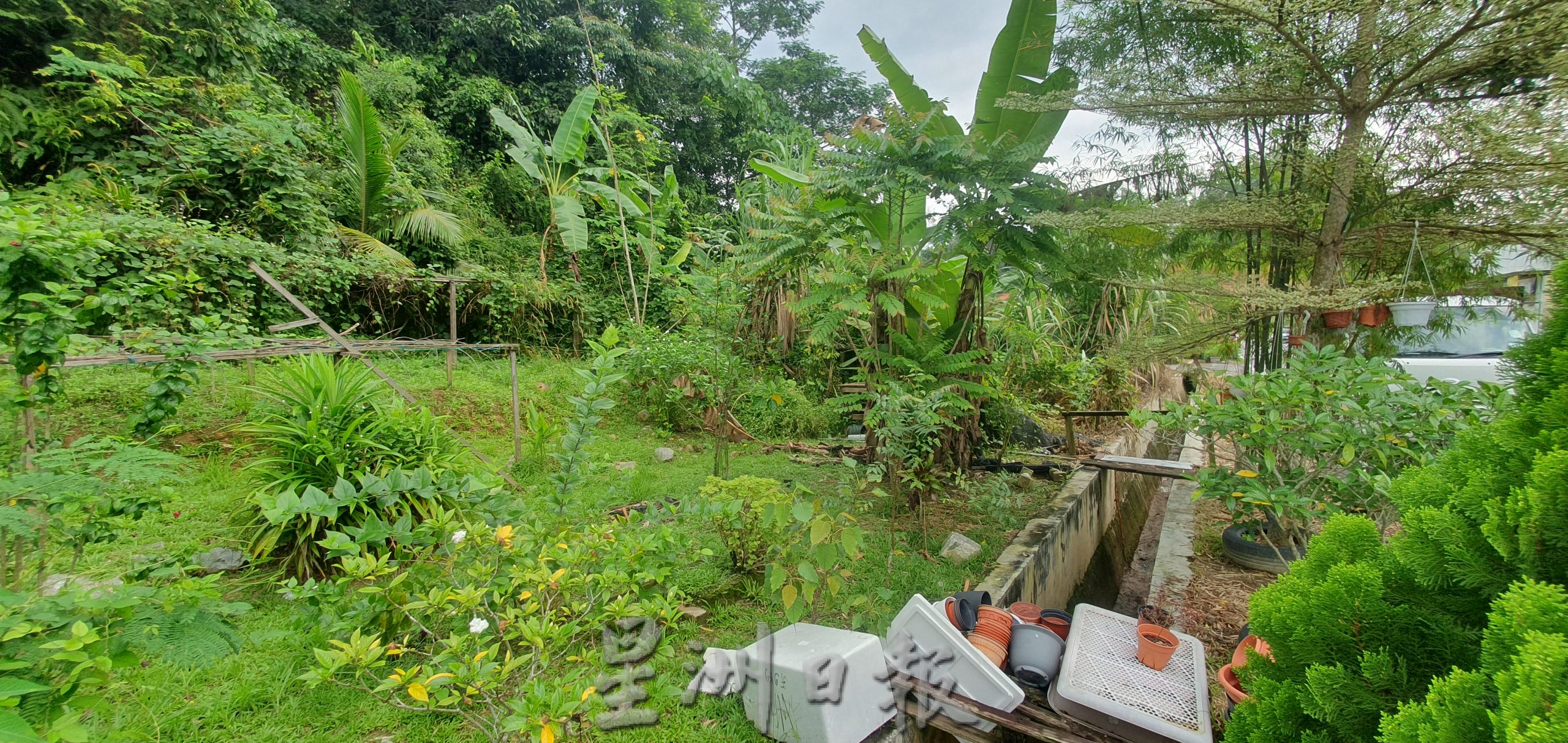 NS芙蓉/居民多次投诉民生问题不获“处理”,结果发现是芙市政厅“乌龙”发错信函给另一名地主