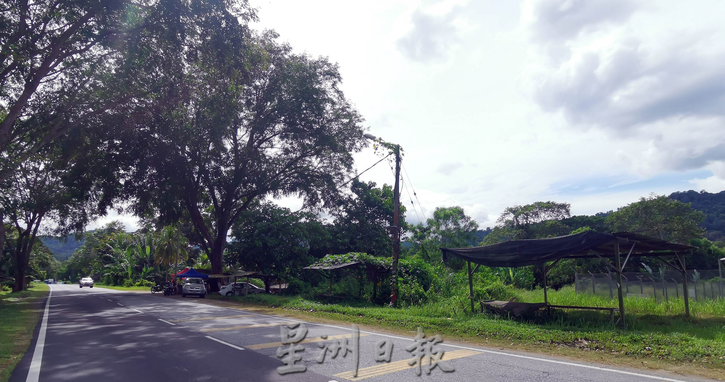NS芙蓉/文丁榴梿季节收成欠佳,路边摆摊档口大幅减少