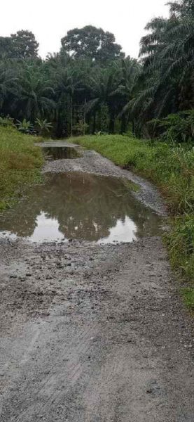 位于16哩甘榜贡贡,通往采石场的道路也被发现大面积积水坑洞。(取自脸书)