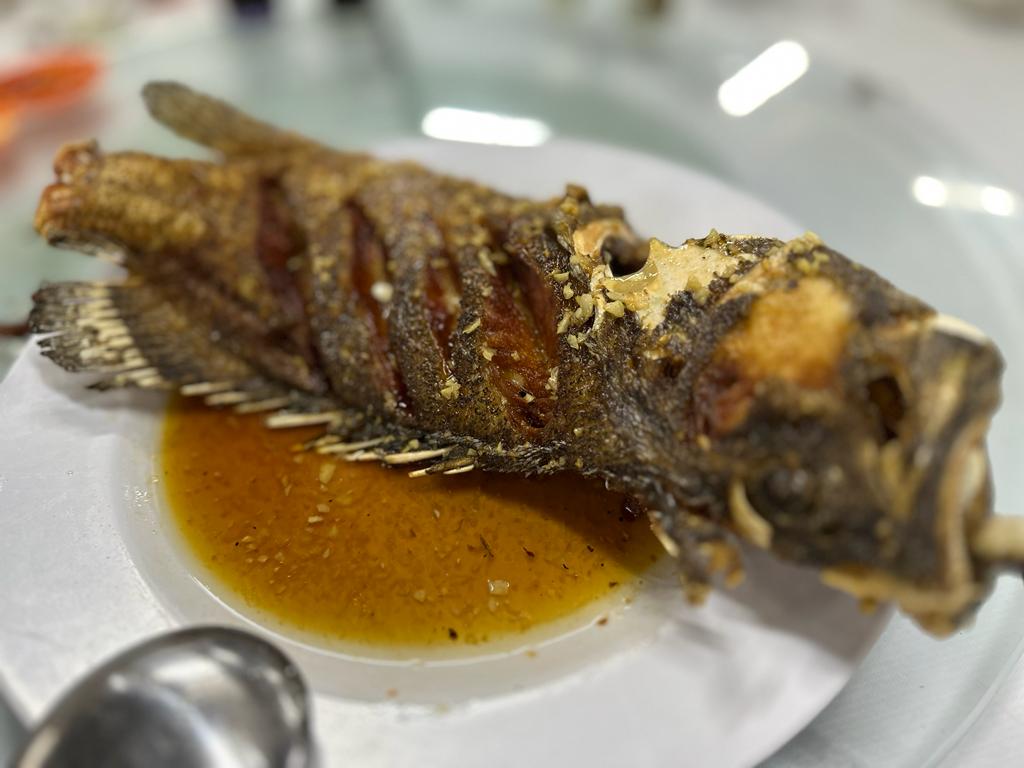 18日见报//大都会-专栏：马拉妹出闸