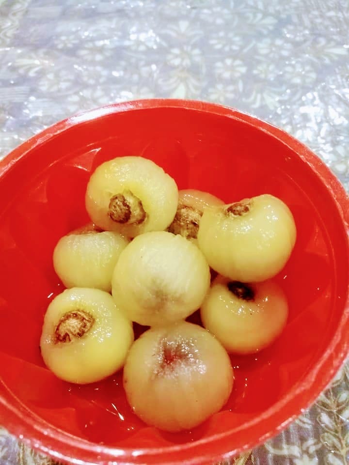 60岁主妇无心插柳 种出巴西龙眼树