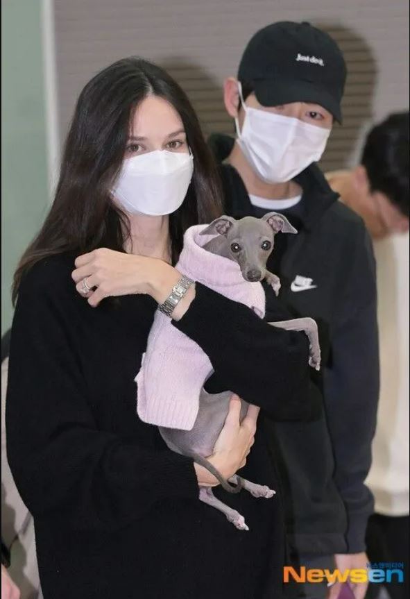 “除了大学都是假的” 宋仲基辟谣老婆有10岁女儿父不详	