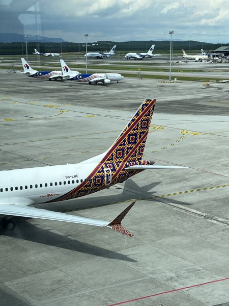 【编采手记】林芷桑