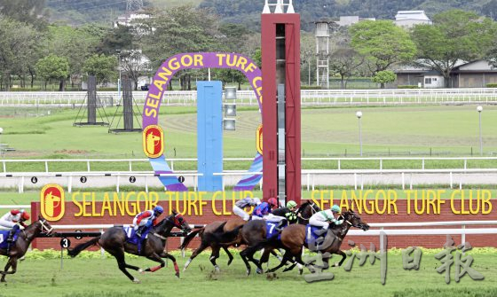 【赛马新世界／01】走进赛马场，看一场热血沸腾的运动