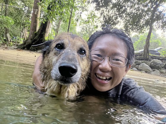 一人一狗环岛游,游山玩水谱写美好时光