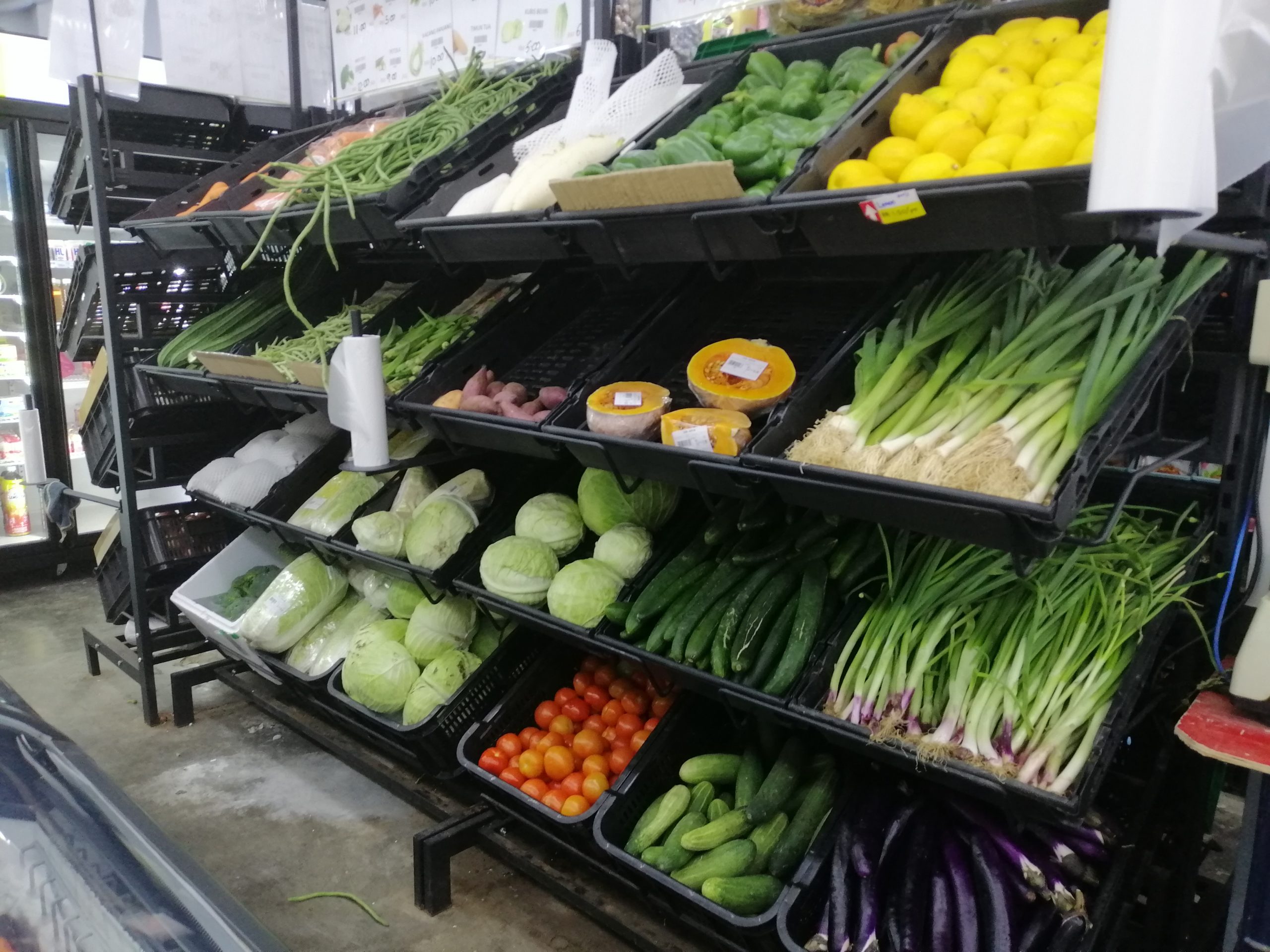 专题/第一篇/世界粮食危机-全球形势