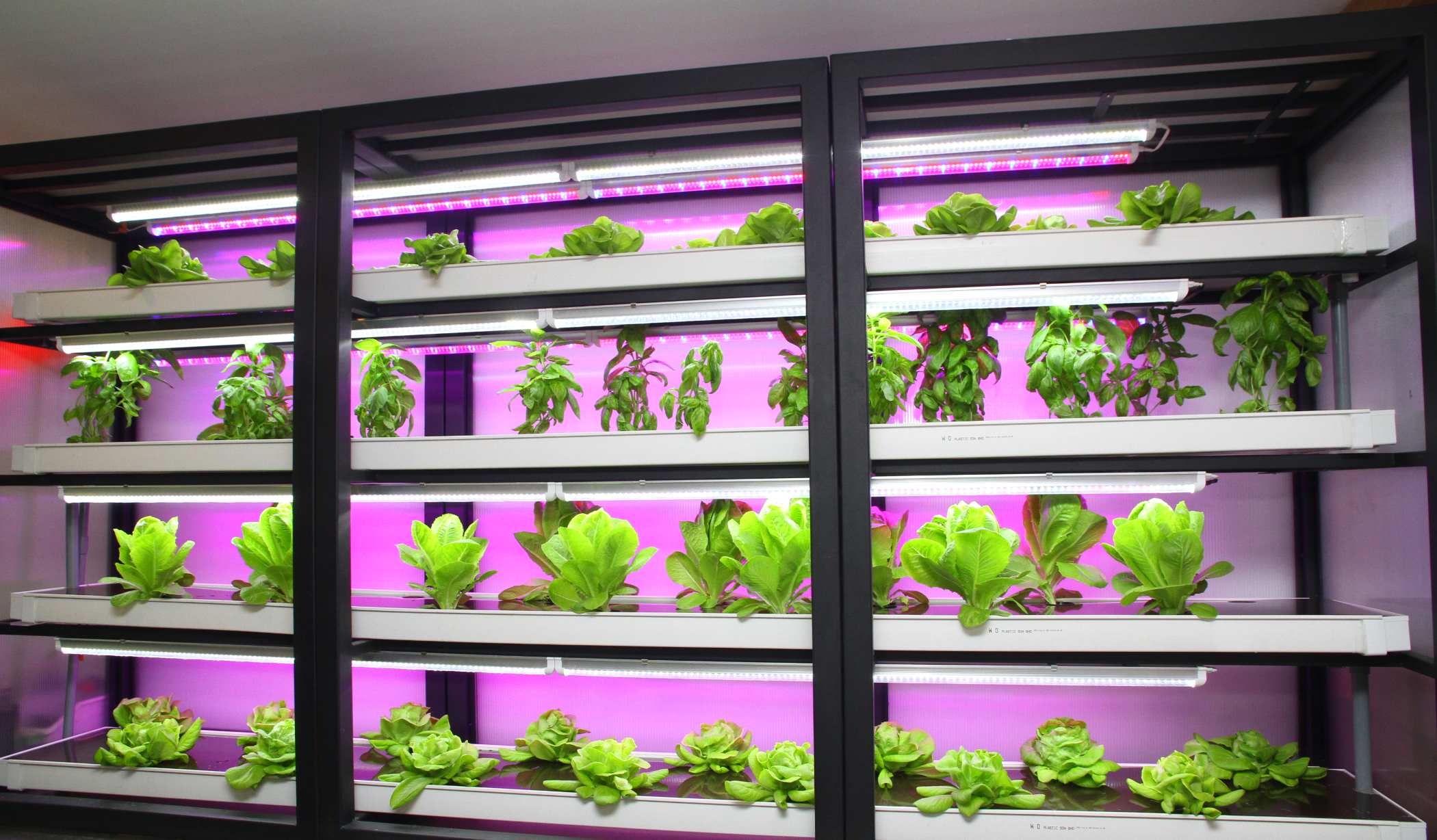 专题/第一篇/世界粮食危机-全球形势