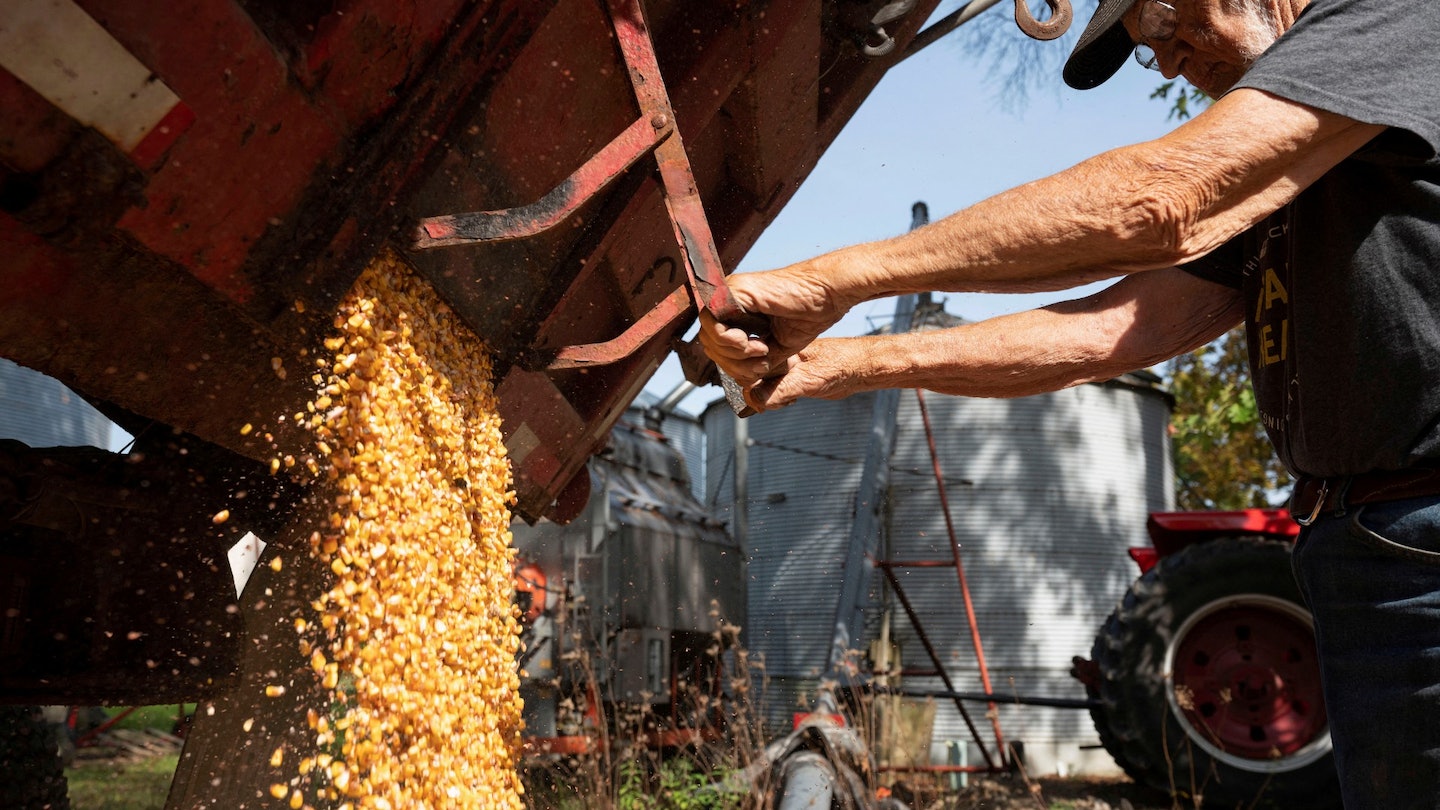 世贸:全球贸易表现较预期好 避过了最坏情况