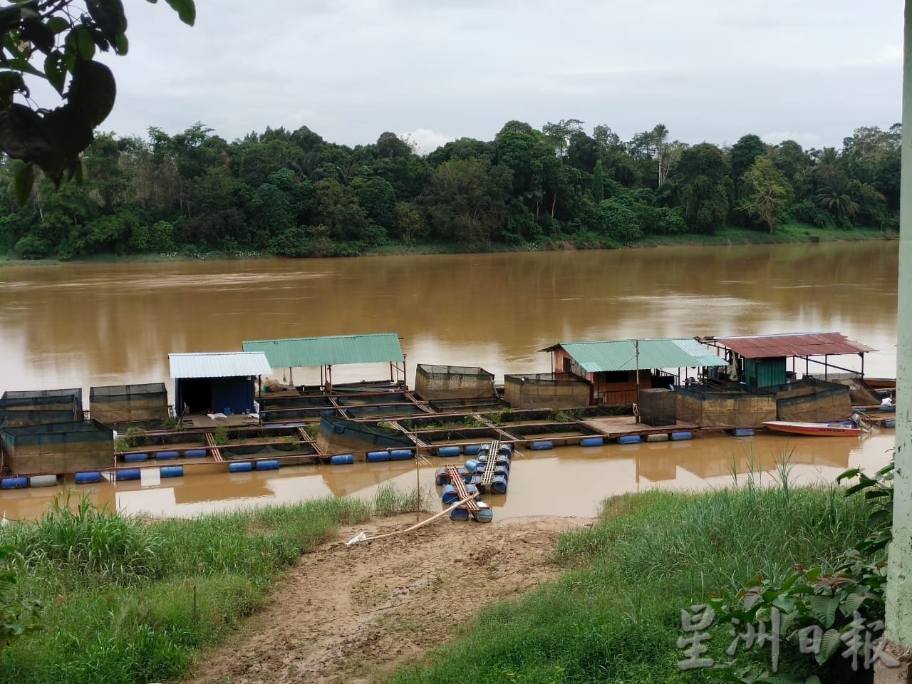 东01:养殖河鱼供不应求 成本涨 下个月酝酿涨价
