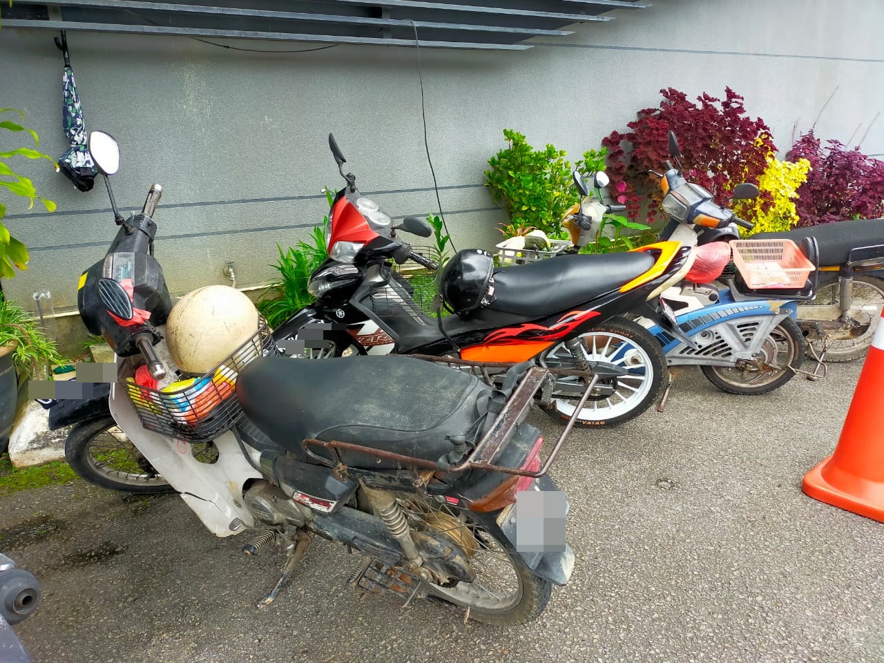 东01:电子驾照和路税回响