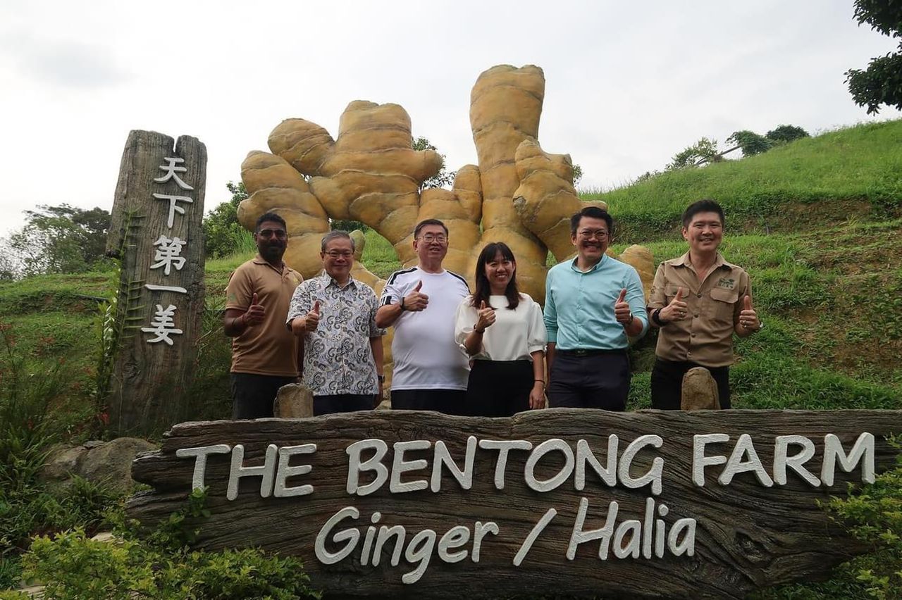 东：梁耀雯关注文冬生态旅游