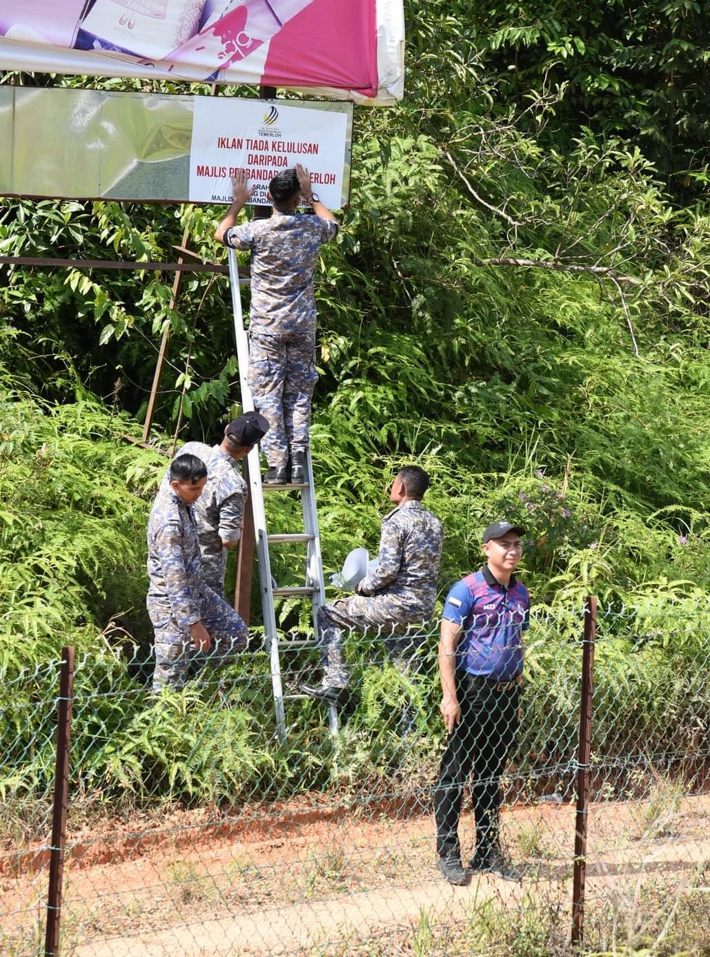 东:淡马鲁市议会执法组连同执照组、东海岸大道管理公司(Anih Bread)等单位人员,昨午在大道针对非法广告牌展开联合取缔行动。