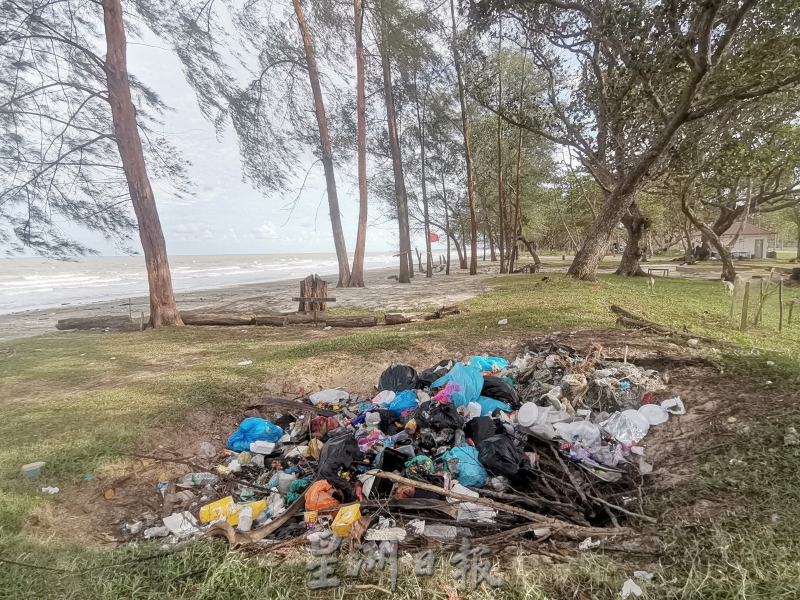 东:珍巴卡海滩垃圾处处
